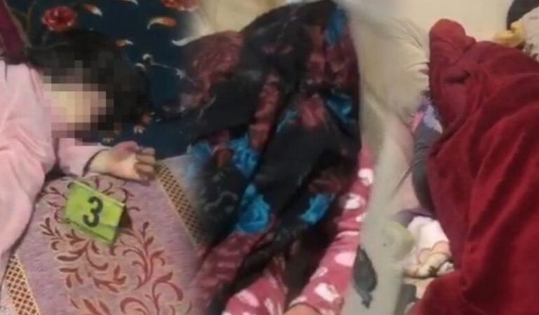 IMG_20221202_010752_088-pyk10im7m47bdwqj5cc971jfzujf47yjqlsb5pldag