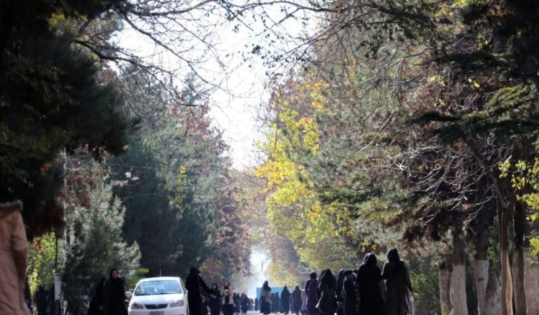 Kabul-university