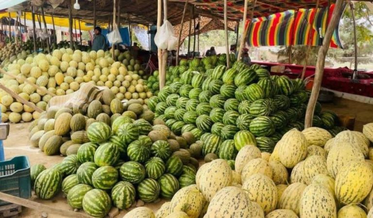 Melon and Watermelon Baghlan