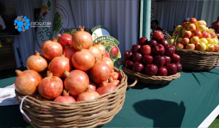 Namaishga Badam bagh