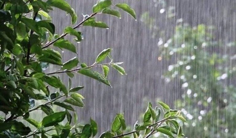 Rain2