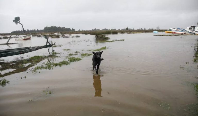 Rainfall in Chile