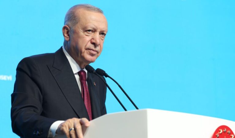 Recep Tayyip Erdogan Islamic Cooperation Summit1