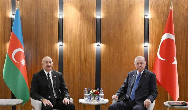 Recep Tayyip Erdoğan and Ilham Aliyev in Kyrgyzstan2