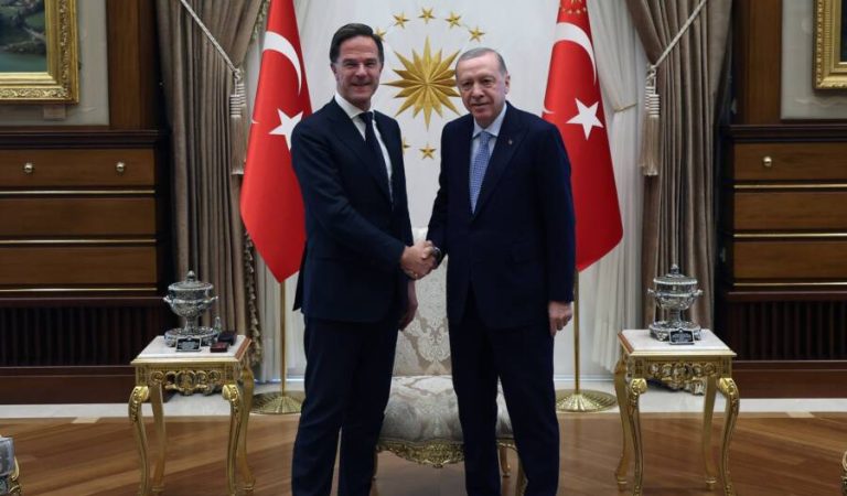 Recep Tayyip Erdoğan and Mark Rutte
