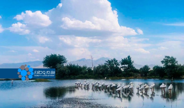 The Ambiguous Fate of Parwan and Kapisa Wetlands 1