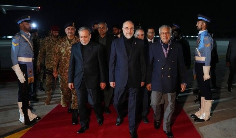 The Iranian delegation