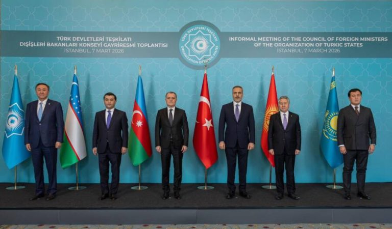 Turk devletleri Teskilati