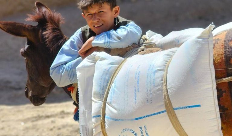 WFP in Afghanistan 1