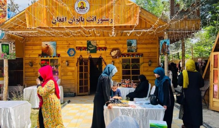 WhatsApp-Image-2025-05-08-at-4.12.41-PM-r5i7s7zv8r2mcspmw83bxixuvz441z33va7r74u1l4