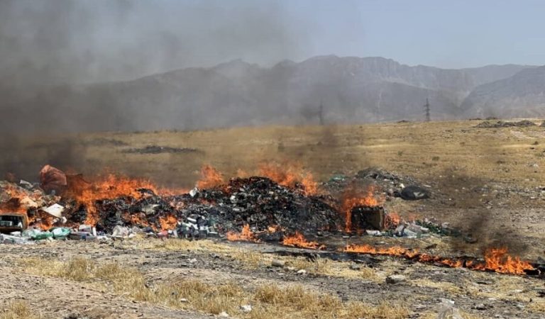 WhatsApp Image 2025-06-02 at 3.04.25 PM