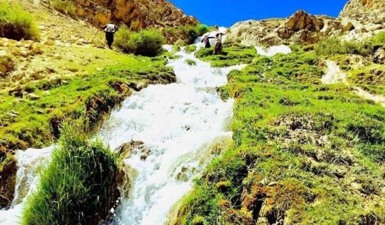 WhatsApp Image 2025-06-13 at 4.15.41 AM