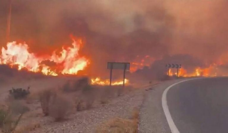 Wildfire in Spain