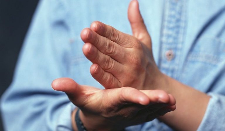 World Sign Language Day2