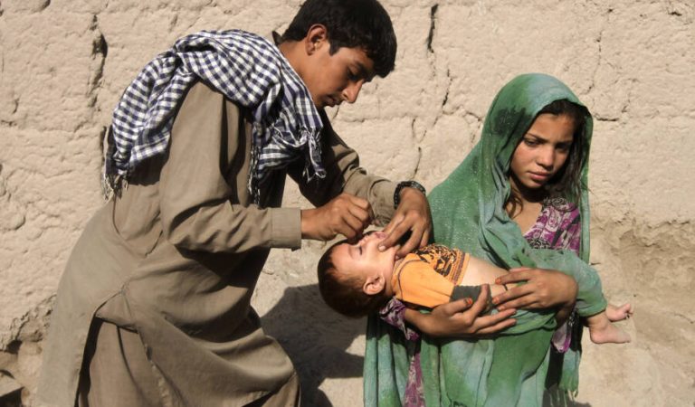 A child receives polio vaccination during an anti-polio campaign on the outskirts of Jalalabad August 18, 2014. REUTERS/Parwiz (AFGHANISTAN - Tags: HEALTH TPX IMAGES OF THE DAY)