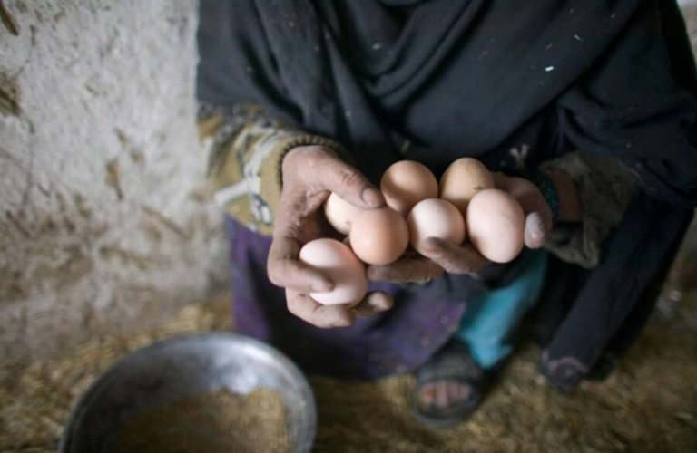 women with eggs in hand