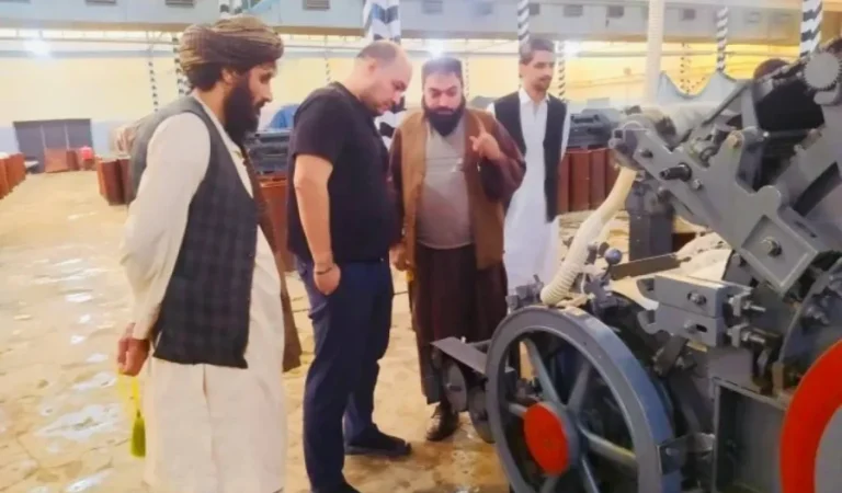 zamin_690b2588772327.61501396