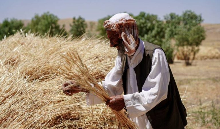 افغانستان