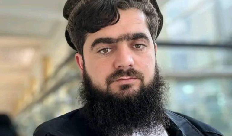 امیری
