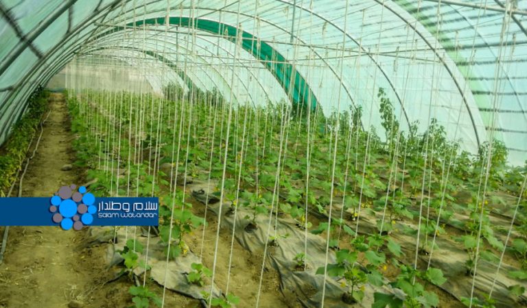 ایسیق‌خانه