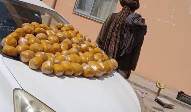 بدخشان-بنگی‌وار ماده