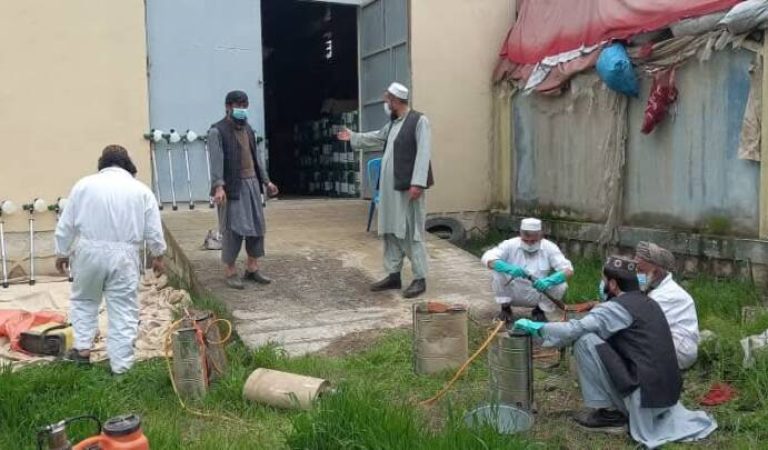 تخار-چیگیرتکه