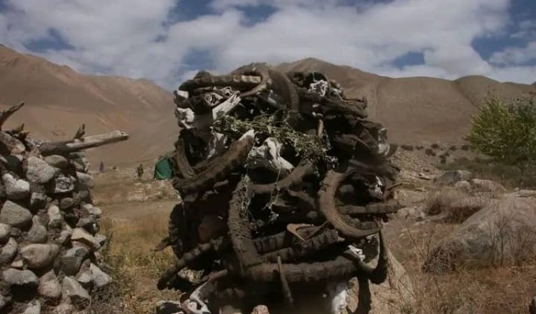 حیات‌وحش-واخان