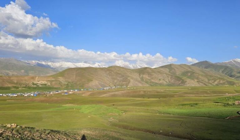 دشت شیوه (5)