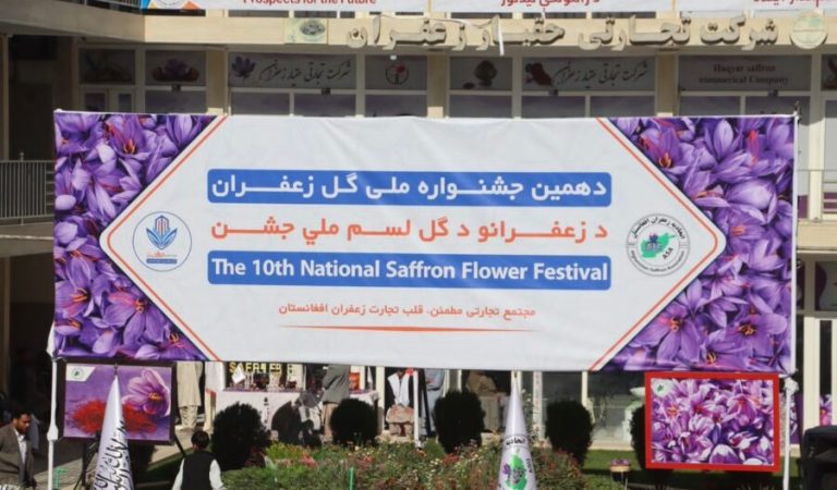 زعفران گلی فیستیوالی