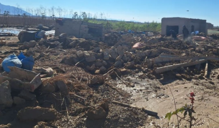 سوو تاشقینی