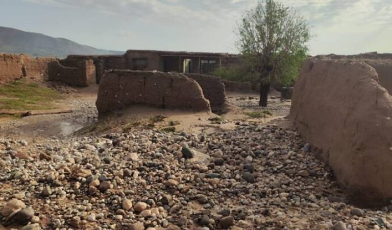 سوو تاشقینی
