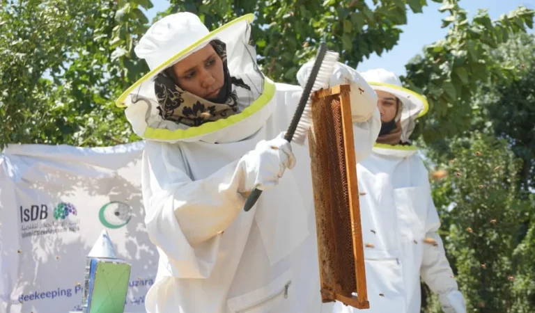 عسل‌اری اویه‌سی