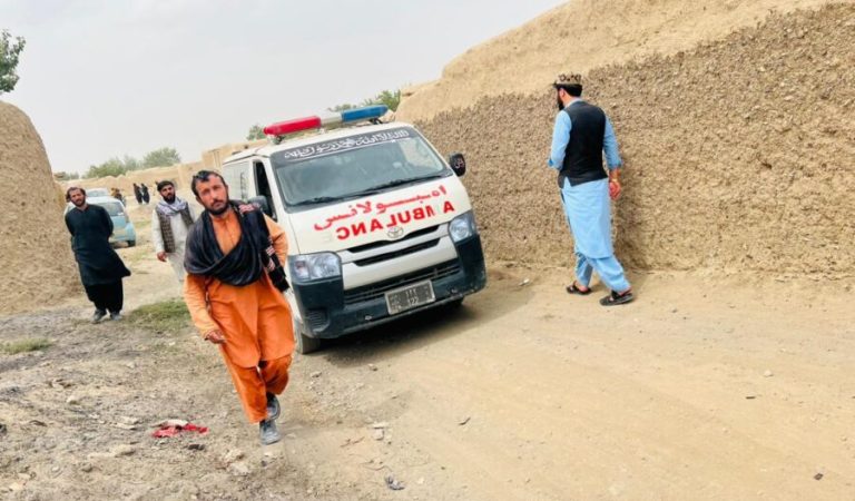 غزنی-زهرلنیش