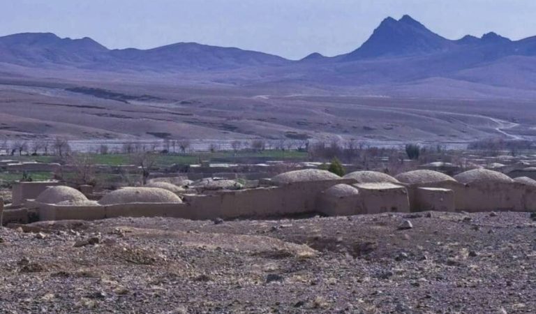 فراه ولایتی