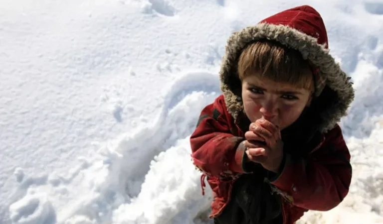 قیش-باله‌لر