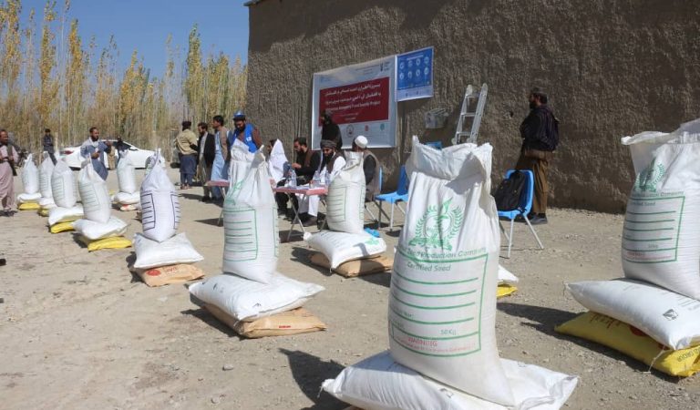 کیمیاوی کود