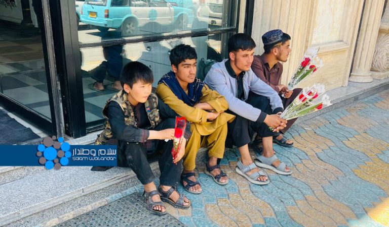 گل ساتووچی باله‌لر