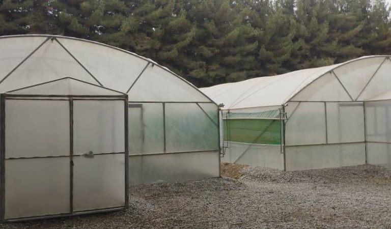 گل‌خانه-بدخشان (2)