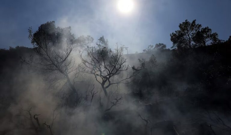 یانغین-یونان