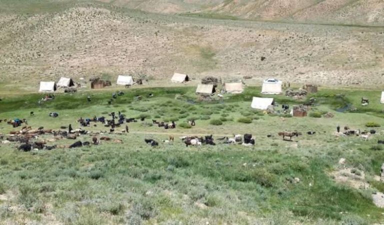 ییلاو