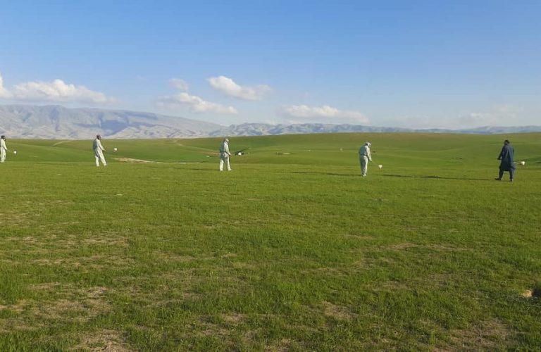 Locust control campaign