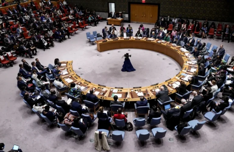 Security Council