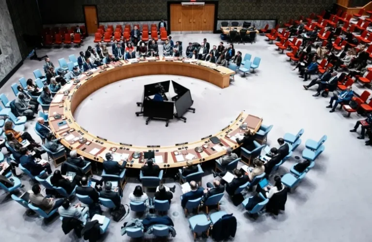 Security Council