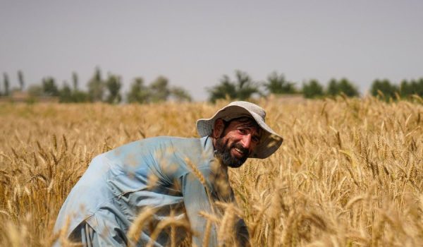 A farmer in Afghanistan