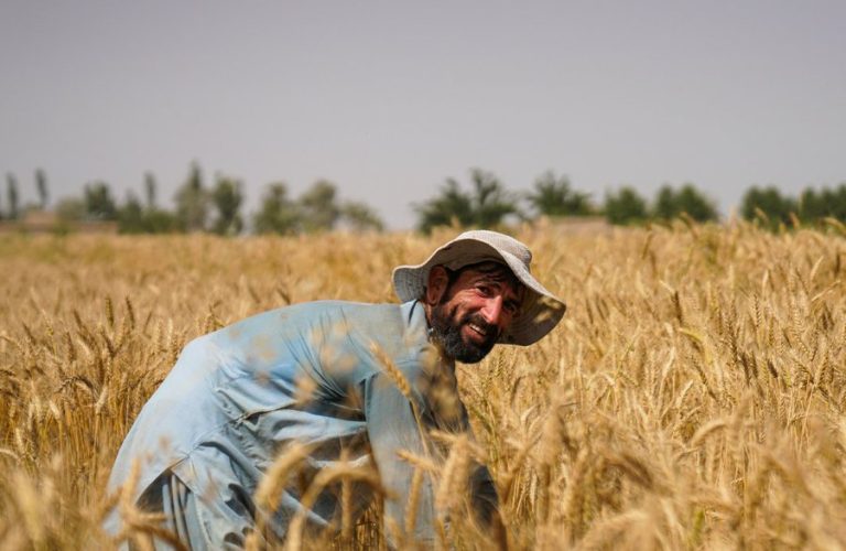 A farmer in Afghanistan