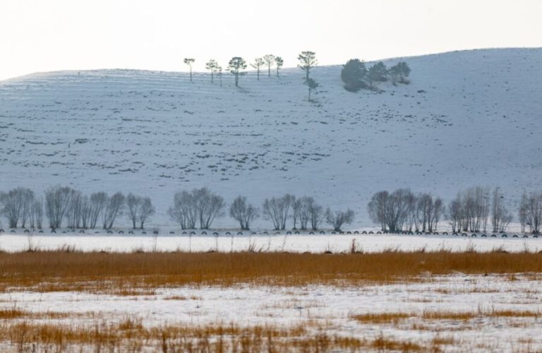 A view of the snow in Garziwan district, Faryab province 1