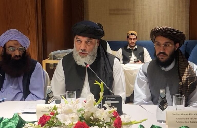 Acting Minister of Industry meets with Pakistani Minister of Industry and Commerce 1