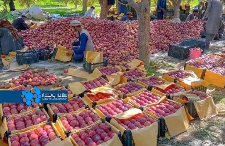 Agricultural products of Afghanistan 1