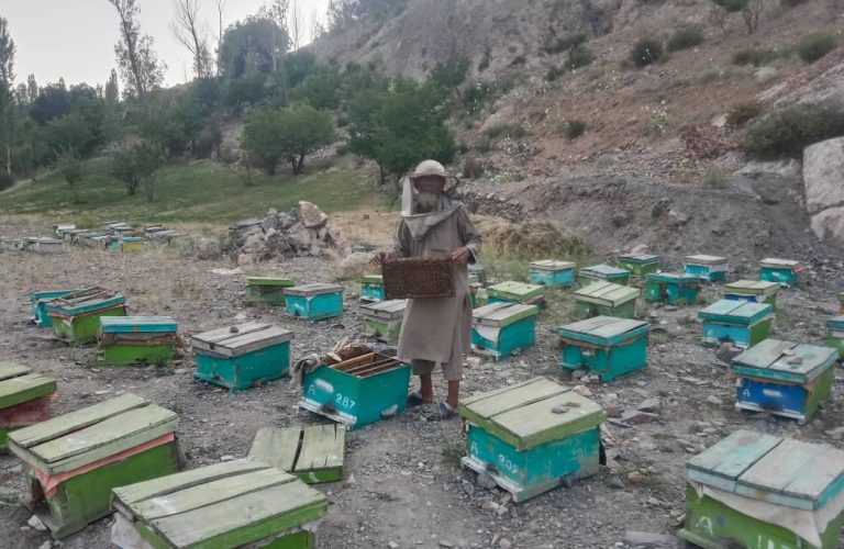 Beekeeping An Opportunity for Income Generation for Women and Youth in Nangarhar 1