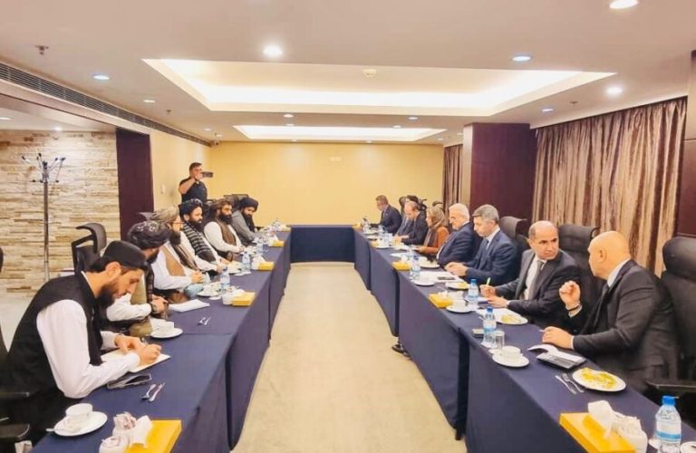 Deputy Interior Ministers of the Islamic Emirate and Türkiye met in Tehran